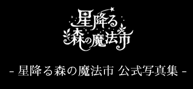 星降る森の魔法市・公式写真集